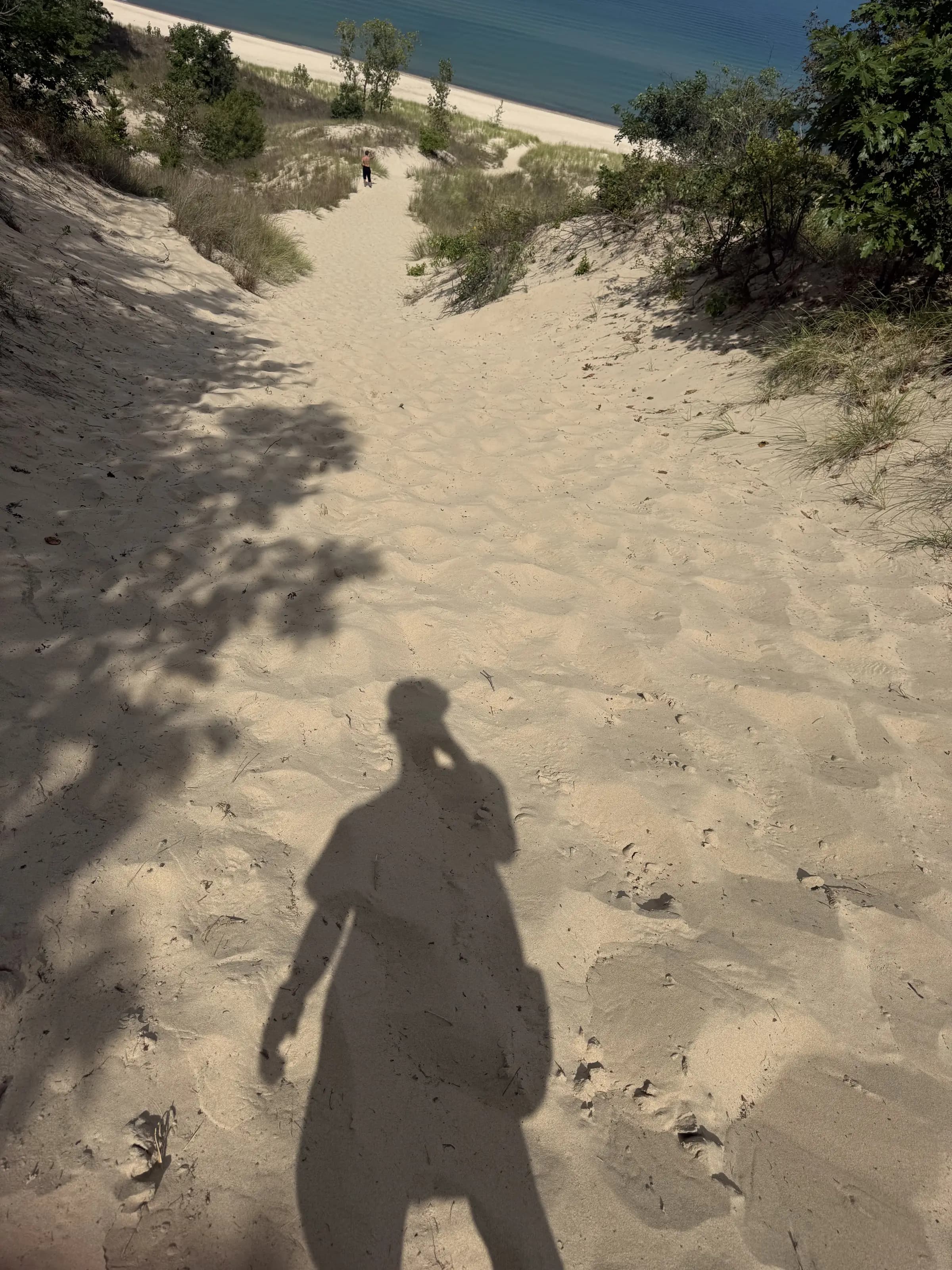 Hongda's shadow on a sandy trail through the Indiana Dunes